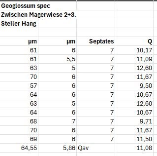 Sporentabelle 7 septierungen.JPG